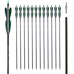 LWANO 30Inch Carbon Arrow Archery Hunting/Targeting Practice Arrows with 5