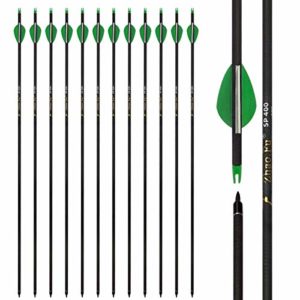 Zhao.Fu 29 Inch Carbon Arrow Practice Hunting Arrows Spine 400 with Removable Tips for Archery Compound & Recurve & Traditional Bow (12 Pcs)