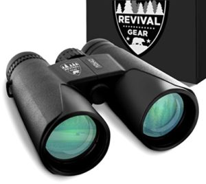 E Tronic Edge Binoculars for Adults - 10x42 Professional Binoculars for Bird Watching, Hunting, Hiking & Travel - Compact Binoculars for Men and Women - Strap and Case Included