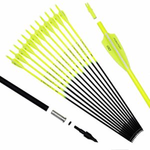 Pointdo 30inch Carbon Arrow Fluorescence Color Targeting and Hunting Practice Arrows for Compound Bow and Recurve Bow with Removable Tips (Fluorescein Yellow)