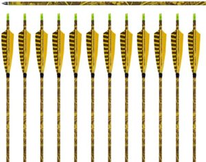 ARCHERY SHARLY [12 Pack] 31Inch Carbon Arrow Practice Hunting Arrows with 5