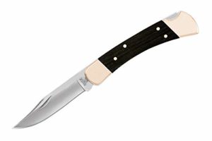Buck Knives 110 Folding Hunter Lock-back Knife, Brass Bolsters, Ebony Handles, 3-3/4